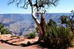 Las Vegas tours and activities, photo tours, Grand Canyon South Rim thumbnail