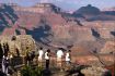 Las Vegas, Pink Jeep Tours, Grand Canyon South Rim thumbnail
