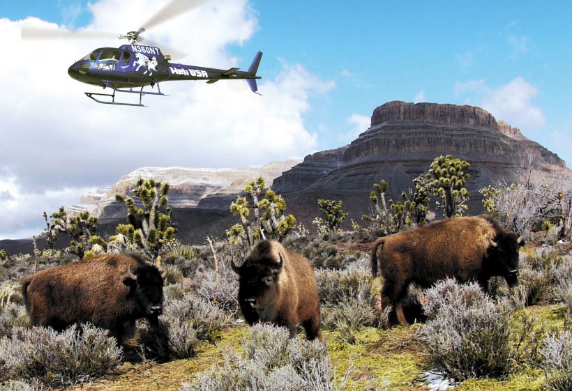 Las Vegas tours and activities, photo tours, Grand Canyon, Helicopter, ranch